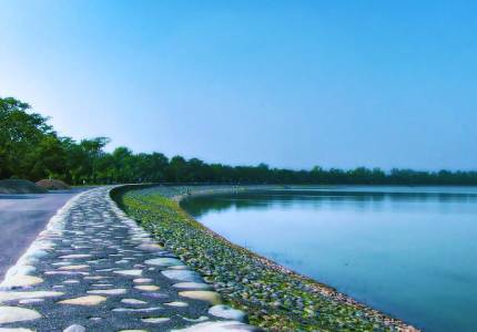 Self Drive Cars in Chandigarh