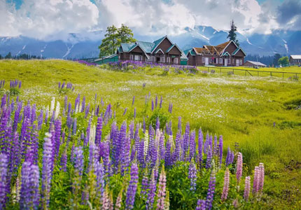 Amritsar to Kashmir Self Drive Tour Package