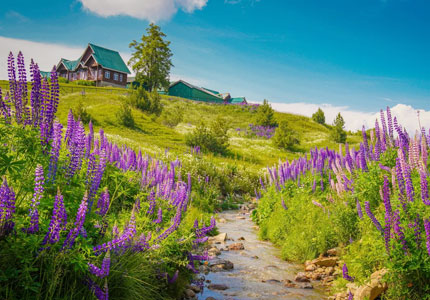 Chandigarh to Kashmir Self Drive Tour