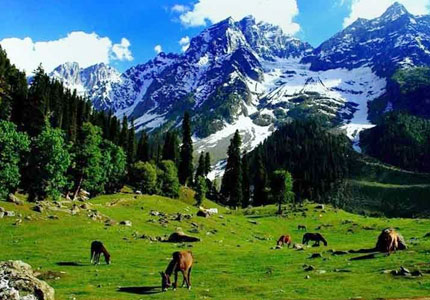 Chandigarh to Kashmir Self Drive Tour