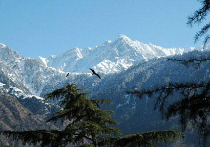 Amritsar to Dharamshala Self Drive Road Trip