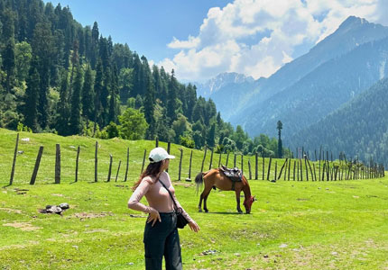 Chandigarh to Kashmir Self Drive Tour