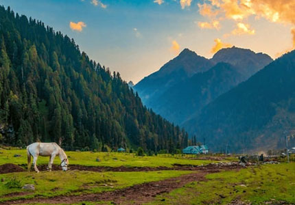 Amritsar to Kashmir Self Drive Tour Package